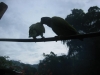ciudad perdida tour