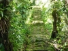 ciudad perdida tour